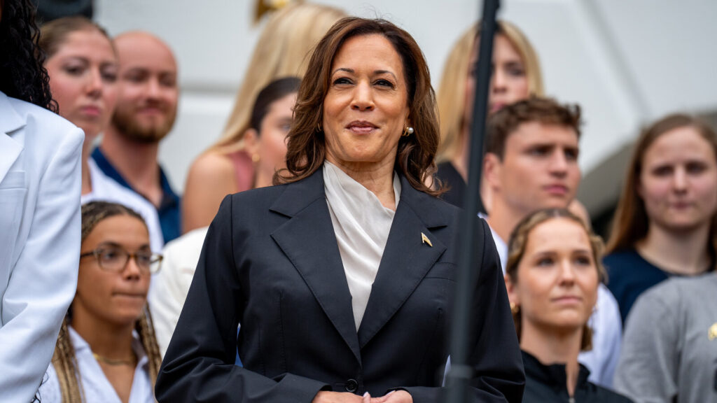 Kamala Harris declares ‘I never do anything half-assed’ as she accepts Democratic nomination